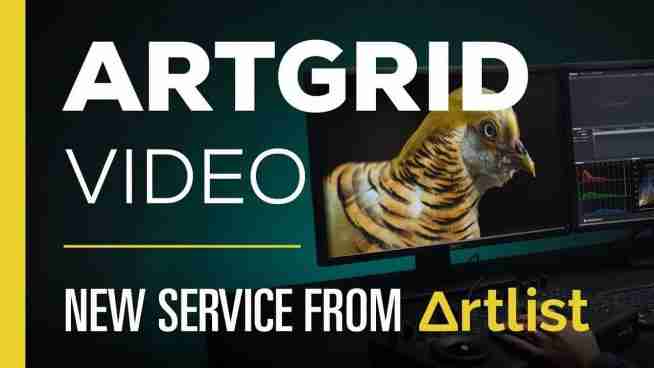Artgrid Promo Code